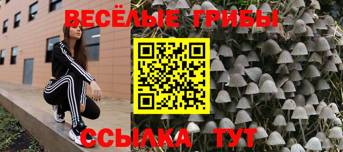 Галлюциногенные грибы GOLDEN TEACHER  Вход с VPN  Галлюциногенные грибы Magic Shrooms  Чебаркуль 